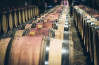 La passion du vin : entre savoir œnologique et plaisir