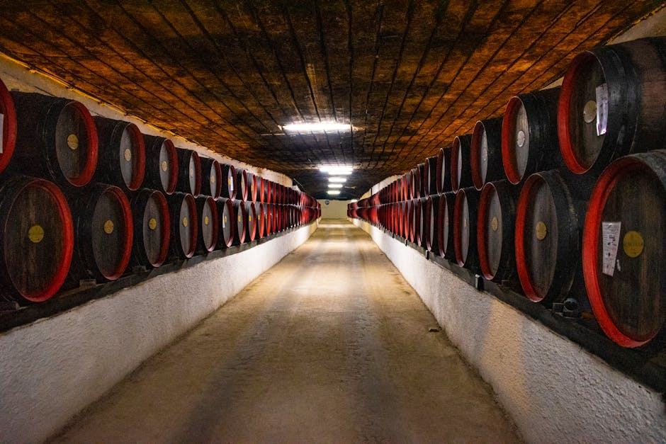 Stockage de vin à domicile : solutions et conseils pratiques