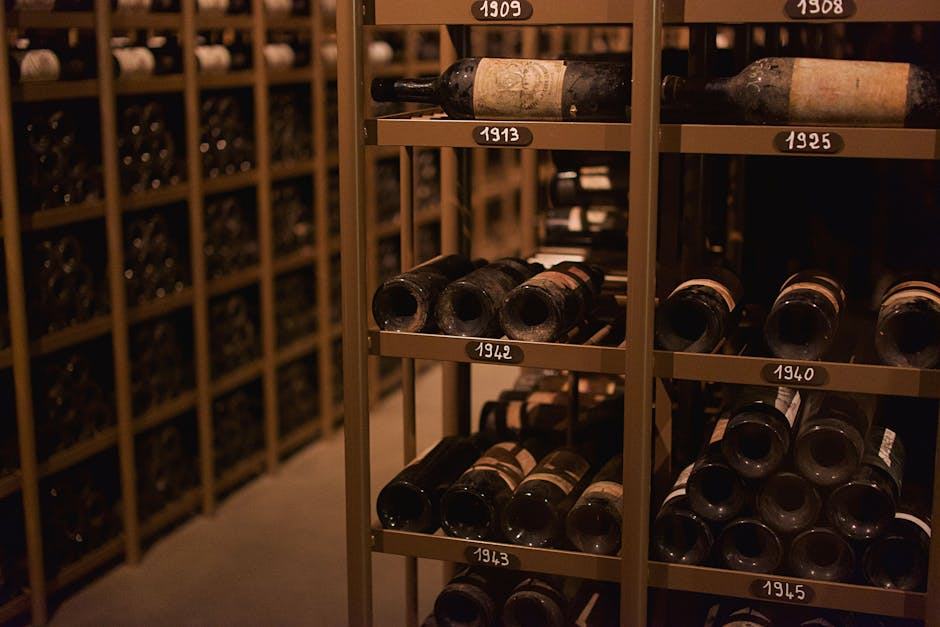 Armoire à vin ou cave à vin : différences et conseils de choix
