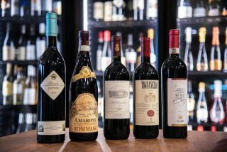 Dimensions d'une bouteille de vin : hauteur et diamètre