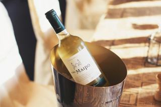 Refroidisseur à vin : fonctionnement et guide d'achat
