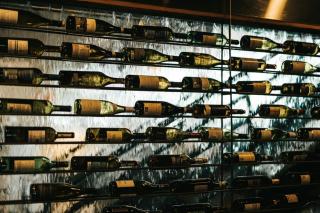Meilleures marques de caves à vin : comparatif 2026