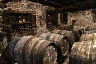 Réparation cave à vin : problèmes courants et solutions