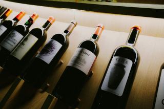 Avis clients et SAV caves à vin : retours d'expérience